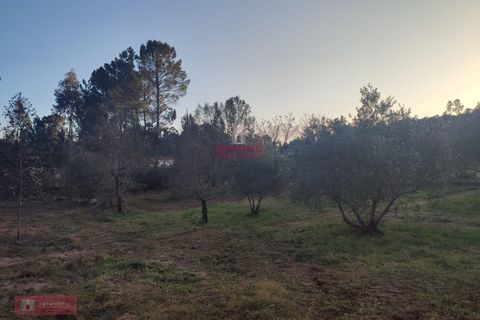 Villa i Batalha, Leiria, Batalha - € 85.000 | Ref: TPH226-06 - foto 10