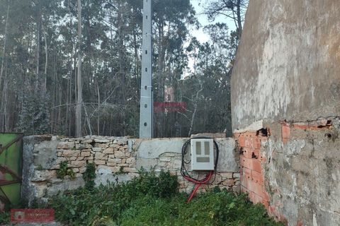 Villa i Batalha, Leiria, Batalha - € 85.000 | Ref: TPH226-06 - foto 11