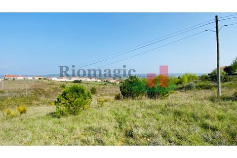 Helårsgrund i Tomar, Santarem, Tomar - € 360.000 | Ref: 569.20 - foto 3
