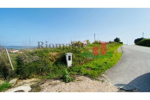 Helårsgrund i Tomar, Santarem, Tomar - € 360.000 | Ref: 569.20 - foto 5