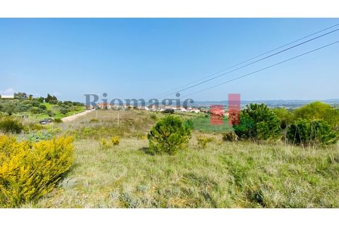 Helårsgrund i Tomar, Santarem, Tomar - € 360.000 | Ref: 569.20 - foto 2