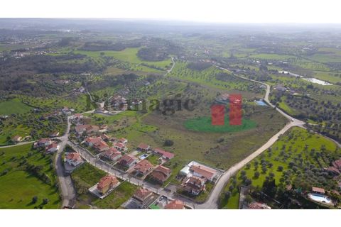 Helårsgrund i Tomar, Santarem, Tomar - € 360.000 | Ref: 569.20 - foto 11