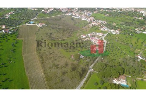 Helårsgrund i Tomar, Santarem, Tomar - € 360.000 | Ref: 569.20 - foto 13