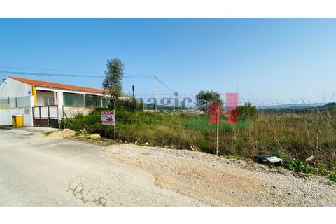 Helårsgrund i Tomar, Santarem, Tomar - € 360.000 | Ref: 569.20 - foto 14