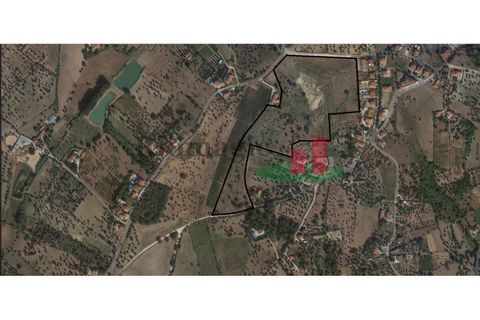 Helårsgrund i Tomar, Santarem, Tomar - € 360.000 | Ref: 569.20 - foto 15