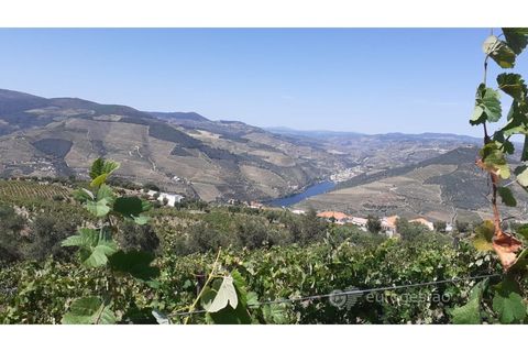 Farm i Valenca do douro, Viseu, Valenca do douro - € 330.000 | Ref: LMG_3859 - N - foto 2