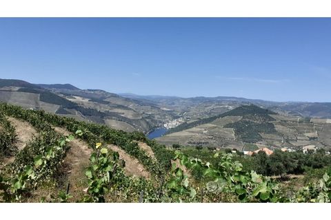 Farm i Valenca do douro, Viseu, Valenca do douro - € 330.000 | Ref: LMG_3859 - N - foto 4