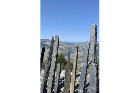 Farm i Valenca do douro, Viseu, Valenca do douro - € 330.000 | Ref: LMG_3859 - N - foto 8