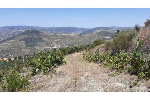 Farm i Valenca do douro, Viseu, Valenca do douro - € 330.000 | Ref: LMG_3859 - N - foto 10
