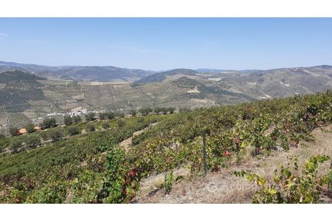 Farm i Valenca do douro, Viseu, Valenca do douro - € 330.000 | Ref: LMG_3859 - N - foto 12
