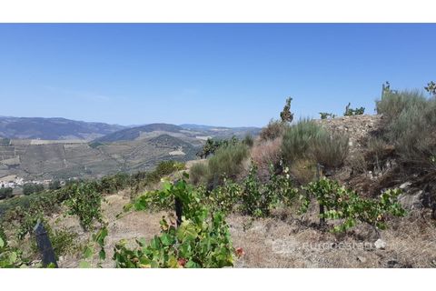 Farm i Valenca do douro, Viseu, Valenca do douro - € 330.000 | Ref: LMG_3859 - N - foto 14
