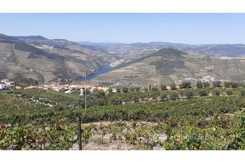 Farm i Valenca do douro, Viseu, Valenca do douro - € 330.000 | Ref: LMG_3859 - N - foto 15