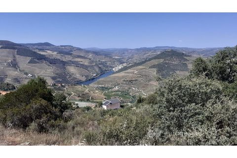 Farm i Valenca do douro, Viseu, Valenca do douro - € 330.000 | Ref: LMG_3859 - N - foto 16