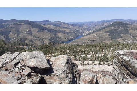 Farm i Valenca do douro, Viseu, Valenca do douro - € 330.000 | Ref: LMG_3859 - N - foto 17
