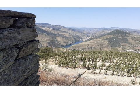 Farm i Valenca do douro, Viseu, Valenca do douro - € 330.000 | Ref: LMG_3859 - N - foto 20