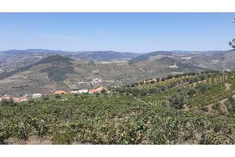 Farm i Valenca do douro, Viseu, Valenca do douro - € 330.000 | Ref: LMG_3859 - N - foto 30
