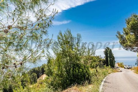 Helårsgrund i Almunecar, Granada, Almunecar - € 60.000 | Ref: TP108 - foto 4