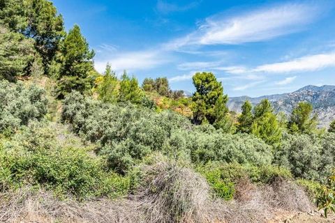 Helårsgrund i Almunecar, Granada, Almunecar - € 60.000 | Ref: TP108 - foto 6