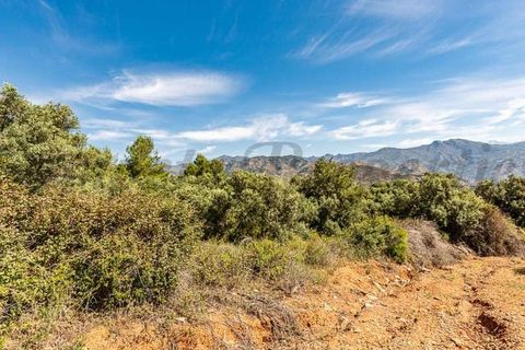 Helårsgrund i Almunecar, Granada, Almunecar - € 60.000 | Ref: TP108 - foto 7