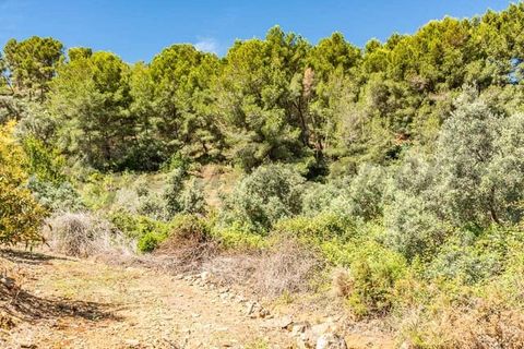 Helårsgrund i Almunecar, Granada, Almunecar - € 60.000 | Ref: TP108 - foto 8