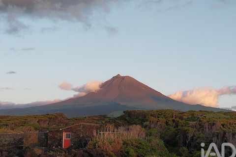 Byhus i Madalena, Pico, Madalena - € 260.000 | Ref: 96696 - foto 2