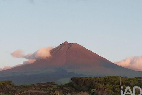 Byhus i Madalena, Pico, Madalena - € 260.000 | Ref: 96696 - foto 10