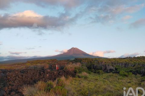 Byhus i Madalena, Pico, Madalena - € 260.000 | Ref: 96696 - foto 12