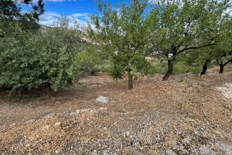 Herregård i Comares, Malaga, Comares - € 185 000 | Ref: ID3920 - foto 15