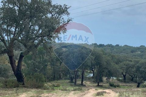 Masia a Avis, Portalegre, Avis - € 3.975.000 | Ref: 124151032-235 - foto 9