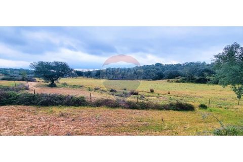 Masia a Avis, Portalegre, Avis - € 3.975.000 | Ref: 124151032-235 - foto 10