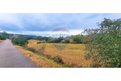 Masia a Avis, Portalegre, Avis - € 3.975.000 | Ref: 124151032-235 - foto 11
