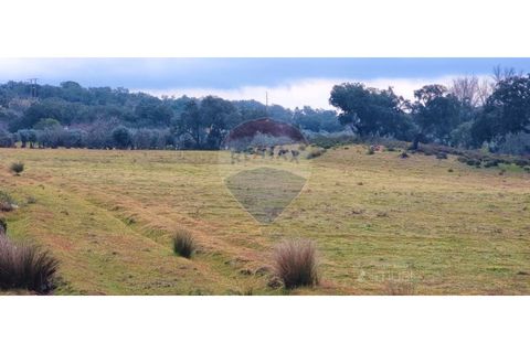 Masia a Avis, Portalegre, Avis - € 3.975.000 | Ref: 124151032-235 - foto 12