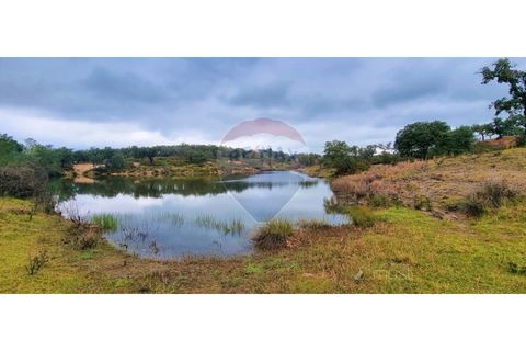 Masia a Avis, Portalegre, Avis - € 3.975.000 | Ref: 124151032-235 - foto 14