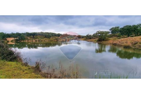 Masia a Avis, Portalegre, Avis - € 3.975.000 | Ref: 124151032-235 - foto 15