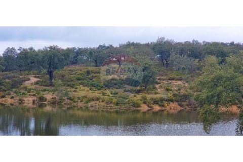 Masia a Avis, Portalegre, Avis - € 3.975.000 | Ref: 124151032-235 - foto 16