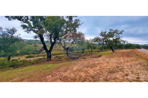 Masia a Avis, Portalegre, Avis - € 3.975.000 | Ref: 124151032-235 - foto 21
