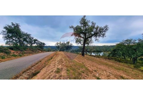 Masia a Avis, Portalegre, Avis - € 3.975.000 | Ref: 124151032-235 - foto 23