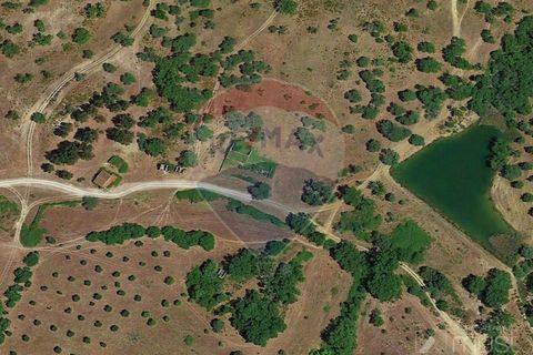 Masia a Avis, Portalegre, Avis - € 3.975.000 | Ref: 124151032-235 - foto 25
