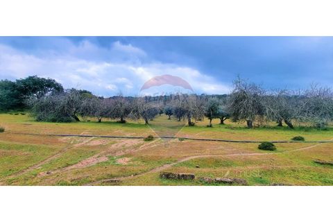 Masia a Avis, Portalegre, Avis - € 3.975.000 | Ref: 124151032-235 - foto 27