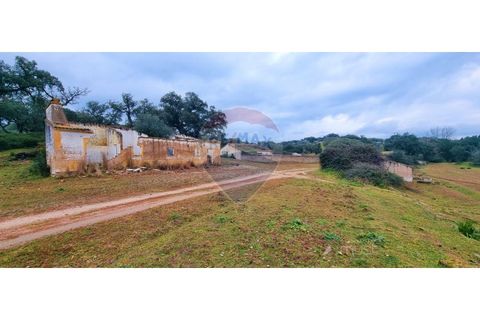 Masia a Avis, Portalegre, Avis - € 3.975.000 | Ref: 124151032-235 - foto 28