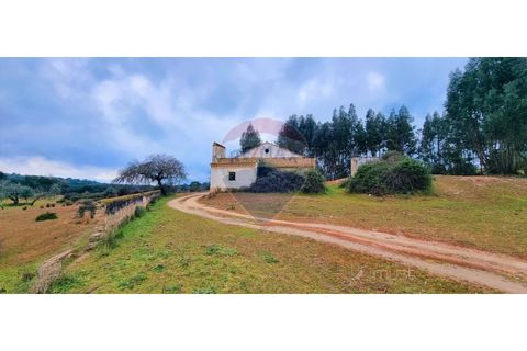 Masia a Avis, Portalegre, Avis - € 3.975.000 | Ref: 124151032-235 - foto 29
