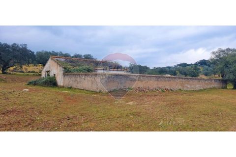 Masia a Avis, Portalegre, Avis - € 3.975.000 | Ref: 124151032-235 - foto 30