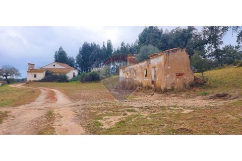 Masia a Avis, Portalegre, Avis - € 3.975.000 | Ref: 124151032-235 - foto 31