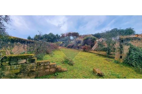 Masia a Avis, Portalegre, Avis - € 3.975.000 | Ref: 124151032-235 - foto 34