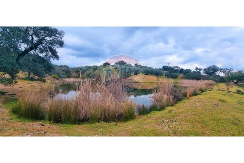 Masia a Avis, Portalegre, Avis - € 3.975.000 | Ref: 124151032-235 - foto 35