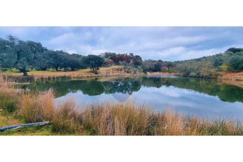 Masia a Avis, Portalegre, Avis - € 3.975.000 | Ref: 124151032-235 - foto 38