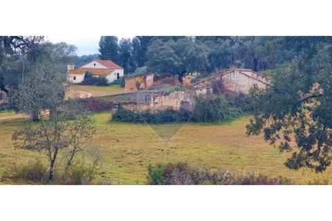Masia a Avis, Portalegre, Avis - € 3.975.000 | Ref: 124151032-235 - foto 39