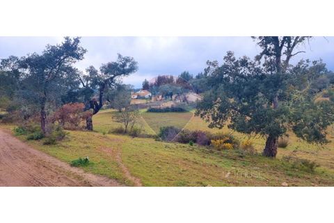 Masia a Avis, Portalegre, Avis - € 3.975.000 | Ref: 124151032-235 - foto 40