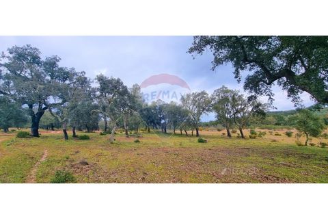 Masia a Avis, Portalegre, Avis - € 3.975.000 | Ref: 124151032-235 - foto 43