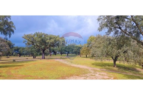 Masia a Avis, Portalegre, Avis - € 3.975.000 | Ref: 124151032-235 - foto 50